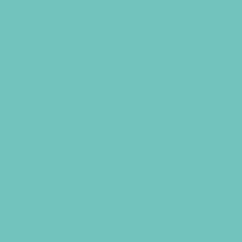 8_Farbfelder\3xxx\30167957_2a_Seifenfarbe_mint.jpg