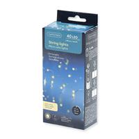 1_Produkt\3xxx\303108_1_Lichterkette_40Micro_LED.jpg