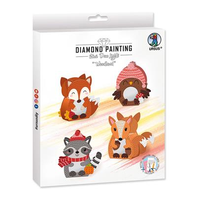 1_Produkt\3xxx\303249_1_Diamond_Painting_Woodland.jpg