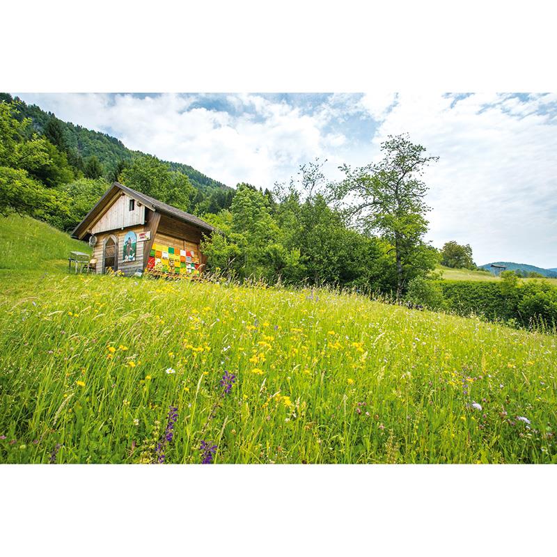 1_Produkt\5xxx\503488_3_Bienenstock.jpg
