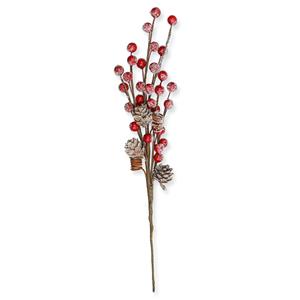 1_Produkt\6xxx\603671_1_Beerenwinterzweig.jpg