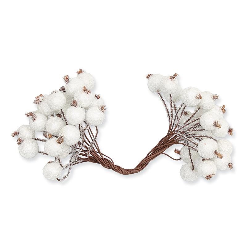 1_Produkt\6xxx\60370301_1_Frostbeeren_weiss.jpg