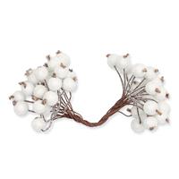 1_Produkt\6xxx\60370301_1_Frostbeeren_weiss.jpg