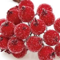 8_Farbfelder\6xxx\60370330_Frostbeere_Draht_Rot.jpg